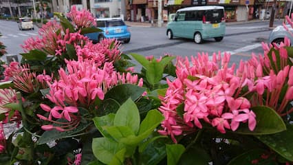 タイムスカルチャースクール