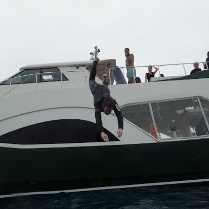 ジョイクリエイト沖縄ティーダダイビング
