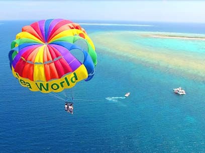 シーワールド | 那覇 慶良間諸島 | 沖縄パラセーリング 沖縄シュノーケリング 沖縄ホエールウォッチング