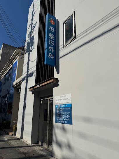 泊整形外科